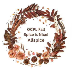 OCLP Fall Spice is Nice - Allspice