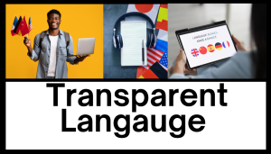 Button link to launch Transparent Language