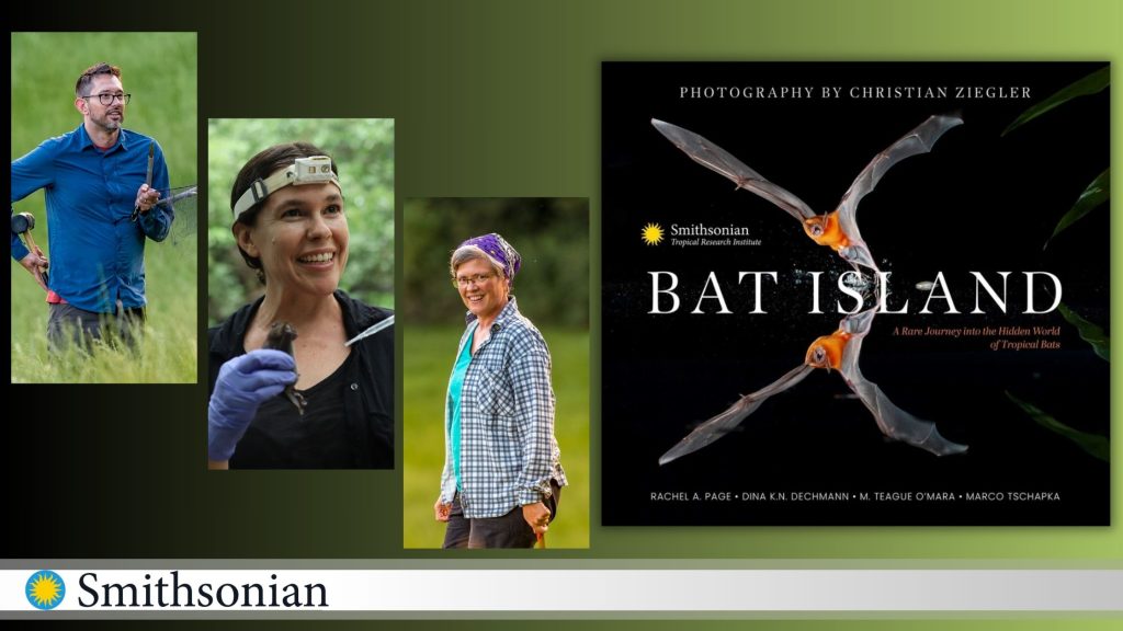 Image of the authors of the book: Bat Lsaland: A Rare Journey Into the Hidden World of Tropical Bats. Authors are: Drs. Rachel Page, Dina Dechmann, Teague O’Mara, and Marco Tschapka